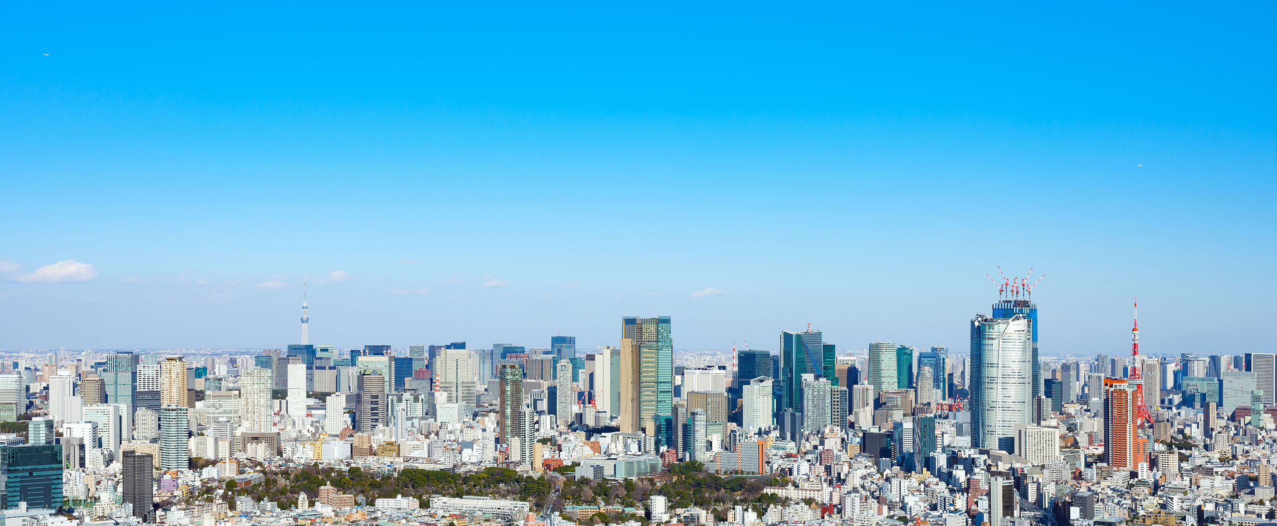 首都圏を中心に中古マンションを仕入れ、一風変わった新しいお部屋にリノベーション・リフォームして販売。注文住宅でしか味わえない設備や間取りを提供。購入だけでなく売却相談や賃貸も平行して営業しております。